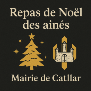 affiche annonçant le repas de noël des aines